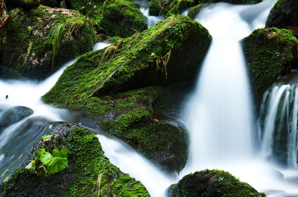 Cascadas