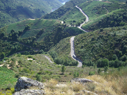 Naturaleza en la Ribeira Sacra
