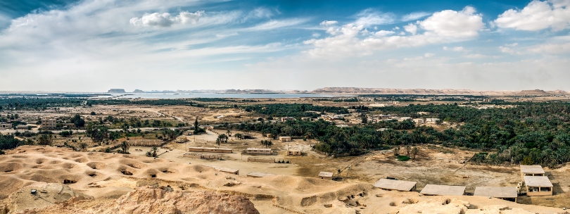 Oasis