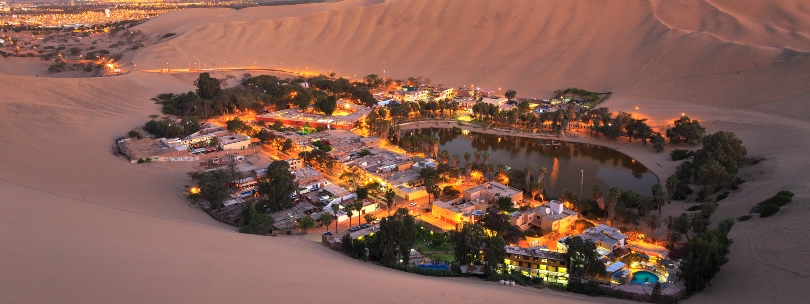 Oasis